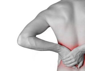 Columna lumbar